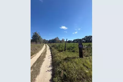 Tbd NE 25th Avenue, Anthony, FL 32617 - Photo 9