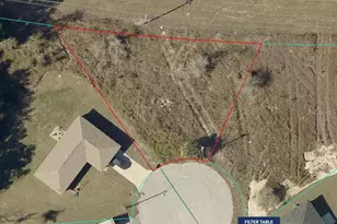 Tbd Hemlock Radial, Ocala, FL 34472 - Photo 1