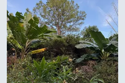 14914 SE 56th Avenue, Summerfield, FL 34491 - Photo 9