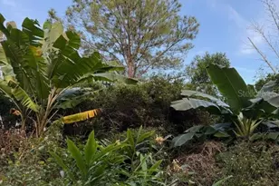 14914 SE 56th Ave, Summerfield, FL 34491 - Photo 9