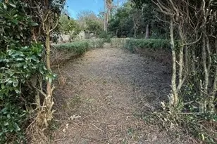 14914 SE 56th Ave, Summerfield, FL 34491 - Photo 11