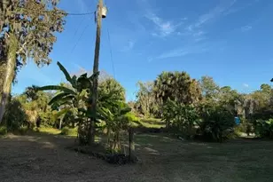 14914 SE 56th Ave, Summerfield, FL 34491 - Photo 5