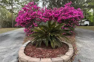 4540 W Sandy Hill St, Lecanto, FL 34461 - Photo 47