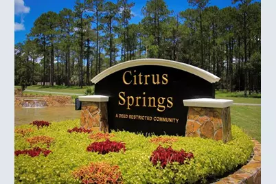 6545 N Whispering Drive, Citrus Springs, FL 34434 - Photo 3