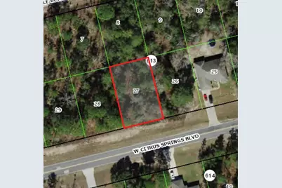 3285 W Citrus Springs Boulevard, Citrus Springs, FL 34433 - Photo 1