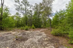 10111 NE 114 St, Archer, FL 32618 - Photo 7