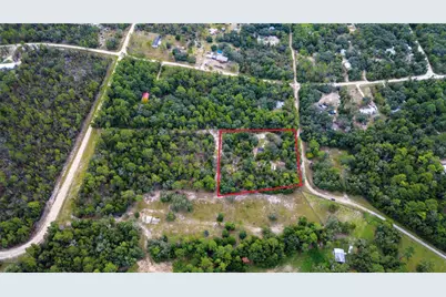 10111 NE 114th Street, Archer, FL 32618 - Photo 5