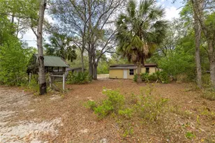 10111 NE 114 St, Archer, FL 32618 - Photo 13