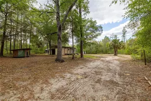 10111 NE 114 St, Archer, FL 32618 - Photo 15