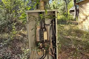 10111 NE 114 St, Archer, FL 32618 - Photo 13