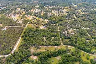 10111 NE 114 St, Archer, FL 32618 - Photo 3