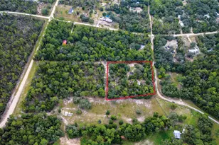 10111 NE 114 St, Archer, FL 32618 - Photo 3