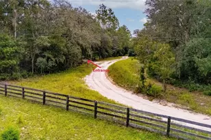 10111 NE 114 St, Archer, FL 32618 - Photo 5