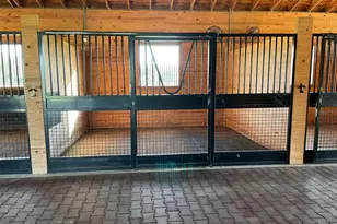 4991 SE 212th Ct, Morriston, FL 32668 - Photo 7