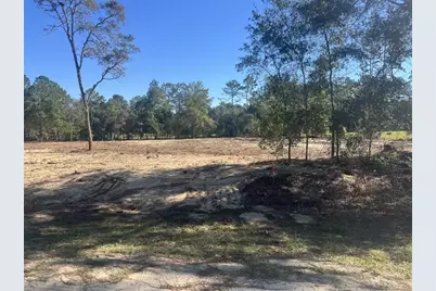Tbd SW 136 Avenue, Ocala, FL 34481 - Photo 1