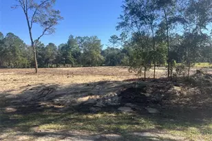 Tbd SW 136 Ave, Ocala, FL 34481 - Photo 1