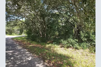 Lot 20 SE Fisher Lane Pass, Ocklawaha, FL 32179 - Photo 7