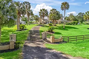 6994 NW 320 Hwy, Micanopy, FL 32667 - Photo 5