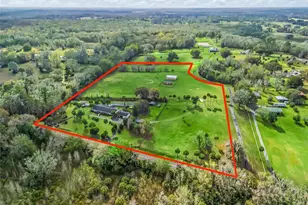 6994 NW 320 Hwy, Micanopy, FL 32667 - Photo 3