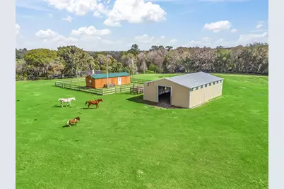 6994 NW 320 Highway, Micanopy, FL 32667 - Photo 45