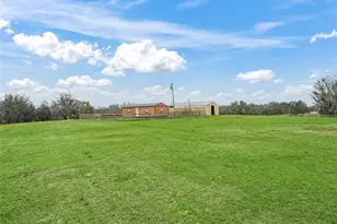 6994 NW 320 Hwy, Micanopy, FL 32667 - Photo 33