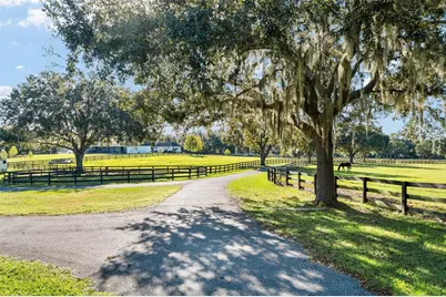 901 SW 87th Place, Ocala, FL 34476 - Photo 3