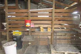 8500 NE 41st Ct, Anthony, FL 32617 - Photo 57