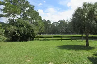 8500 NE 41st Ct, Anthony, FL 32617 - Photo 91