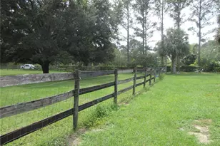 8500 NE 41st Ct, Anthony, FL 32617 - Photo 95