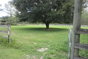 8500 NE 41st Ct, Anthony, FL 32617 - Photo 97