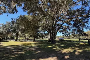 8820 NW 130th St, Reddick, FL 32686 - Photo 65