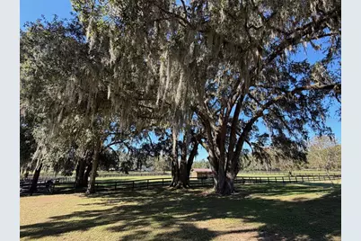 8820 NW 130th Street, Reddick, FL 32686 - Photo 75