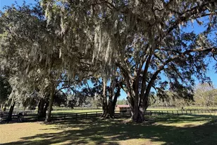 8820 NW 130th St, Reddick, FL 32686 - Photo 63