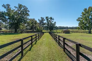 8820 NW 130th St, Reddick, FL 32686 - Photo 51