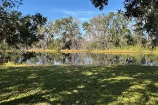 53 N Archwood Dr, Inverness, FL 34450 - Photo 75