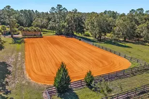 12932 SW 41st Pl, Ocala, FL 34481 - Photo 21