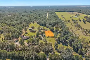 12932 SW 41st Pl, Ocala, FL 34481 - Photo 29