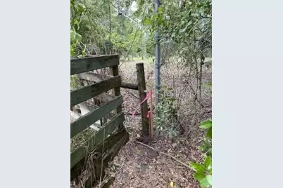 0 SW Almond Trail Ct., Ocala, FL 34472 - Photo 3