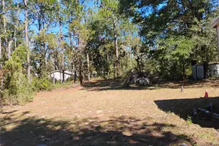 4551 SW 194th Ave, Dunnellon, FL 34432 - Photo 11