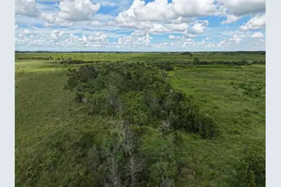 County Line Road E, Fort Meade, FL 33841 - Photo 7
