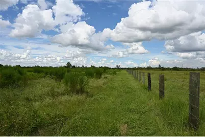 County Line Road E, Fort Meade, FL 33841 - Photo 5