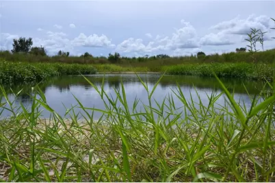 County Line Road E, Fort Meade, FL 33841 - Photo 3