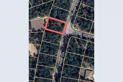 0 Fisher Course #9, Ocklawaha, FL 32179 - Photo 3