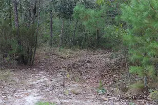 9478 N Timber Creek Terrace, Dunnellon, FL 34433 - Photo 1