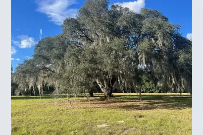 4160 NE 127th Place, Anthony, FL 32617 - Photo 11