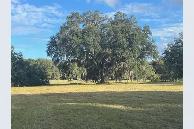 4160 NE 127th Place, Anthony, FL 32617 - Photo 7