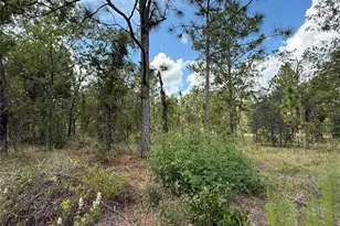 Deer Park Heights SW, Dunnellon, FL 34431 - Photo 1