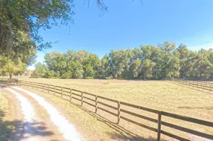 4540 W Hwy 318, Citra, FL 32113 - Photo 63