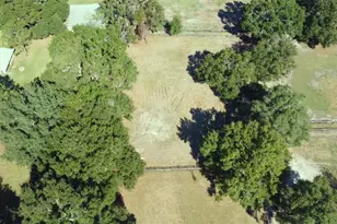 4540 W Hwy 318, Citra, FL 32113 - Photo 75