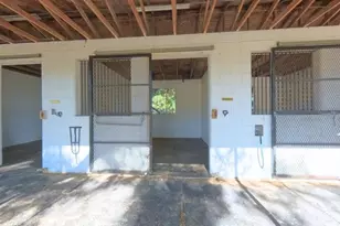 4540 W Hwy 318, Citra, FL 32113 - Photo 57